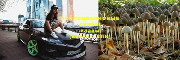 MESCALINE Арсеньев