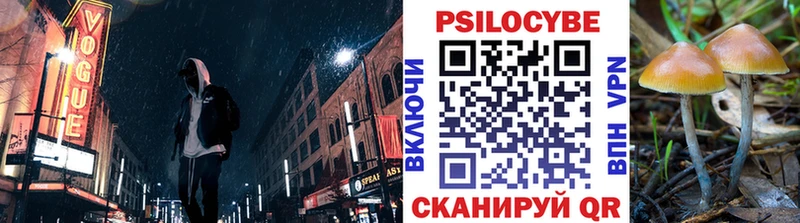 Галлюциногенные грибы Psilocybine cubensis  Сибай 